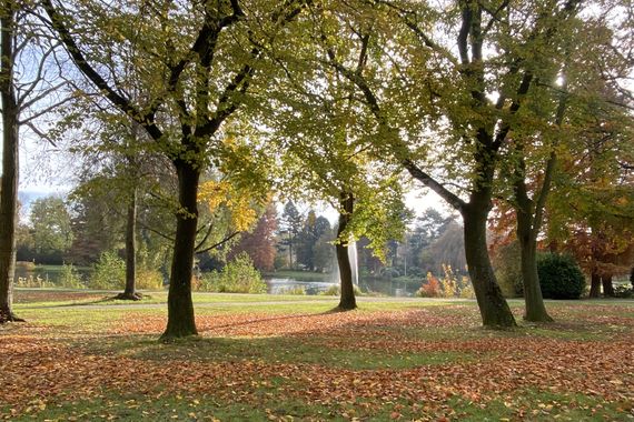 DIREKT AM SCHÖNWASSERPARK: HOCHWERTIGE 2-ZIMMER-WOHNUNG ZU MIETEN!