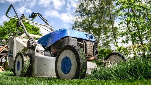 Eisheilige: Start in die Gartensaison